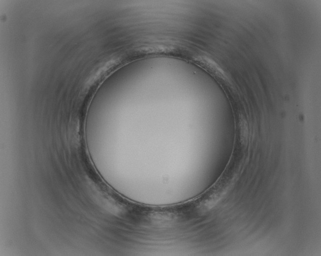 X0000077370490200611031915