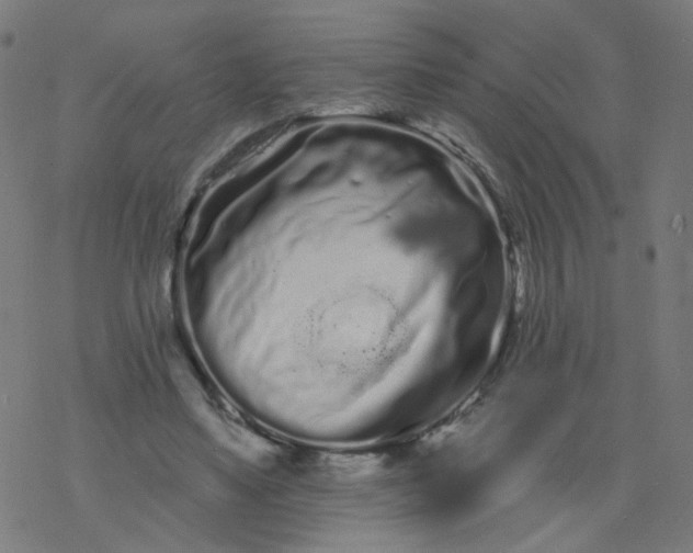 X0000077370491200611031915