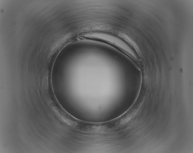 X0000077370493200611031915