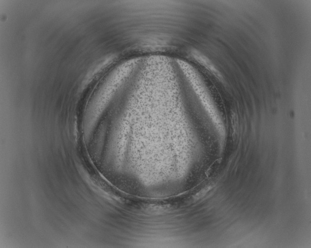 X0000077370494200611031915