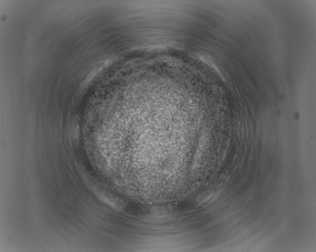 X0000077370495200611031915