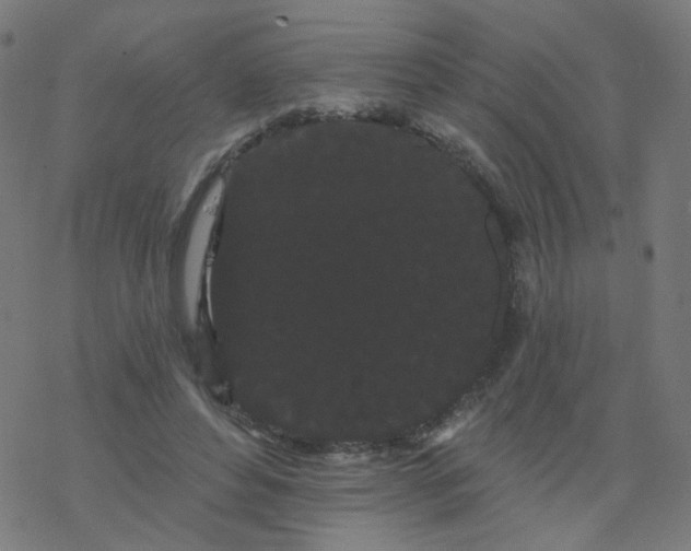 X0000077370496200611031915