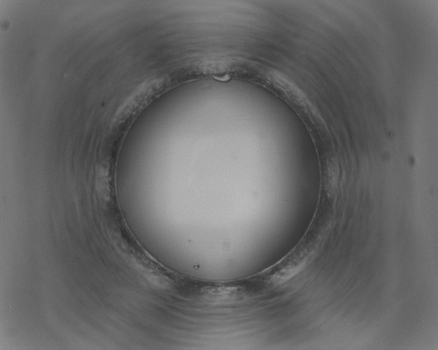 X0000077370497200611031915