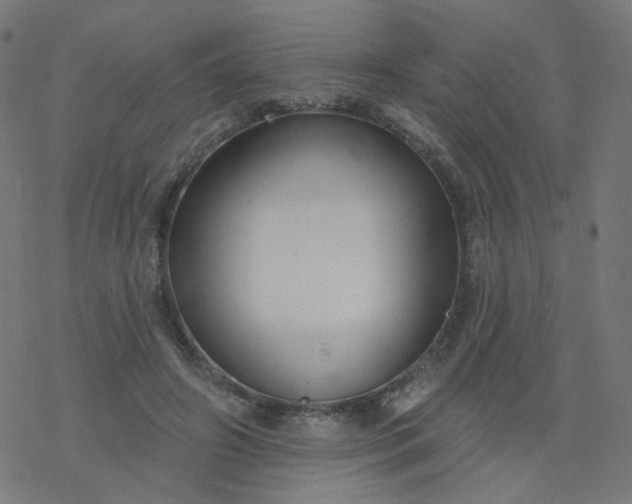 X0000077370498200611031915