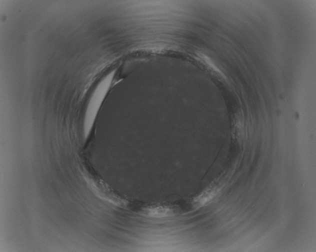 X0000077370500200611031915