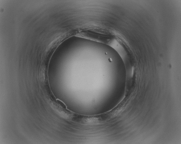 X0000077370501200611031915