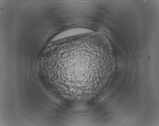 X0000077370503200611031915