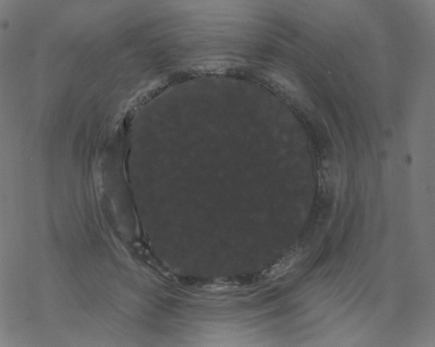 X0000077370504200611031915