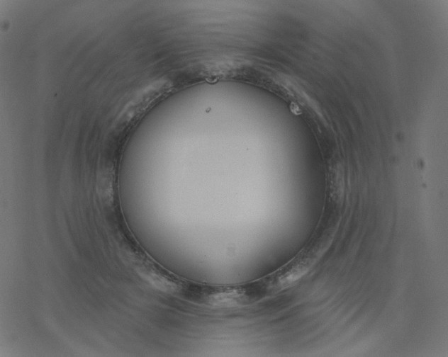 X0000077370505200611031915