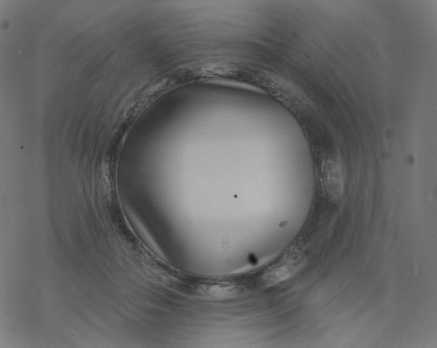 X0000077370506200611031915