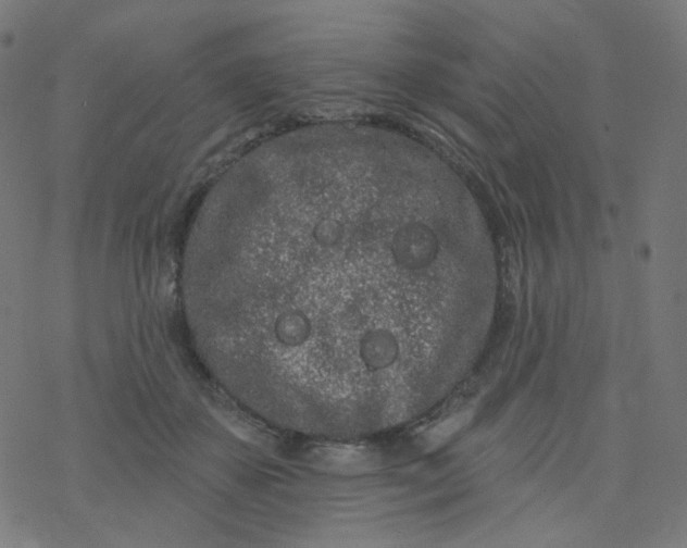 X0000077370507200611031915