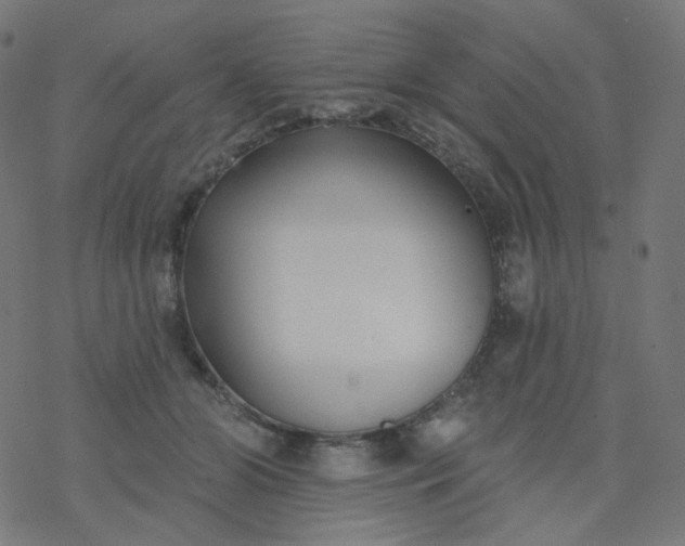 X0000077370510200611031914