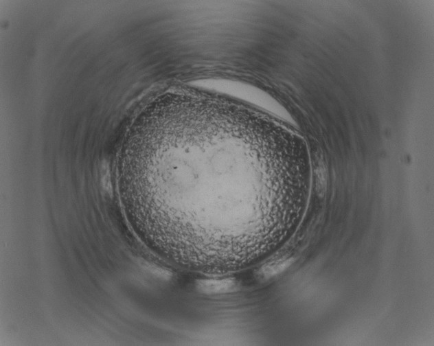 X0000077370511200611031914