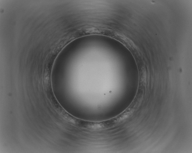 X0000077370513200611031914