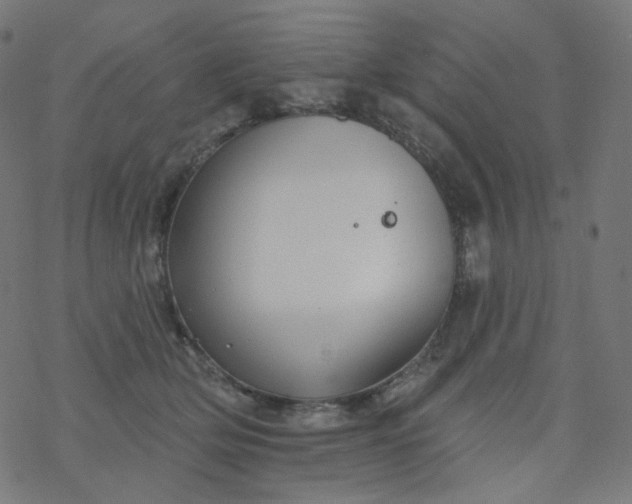 X0000077370514200611031914