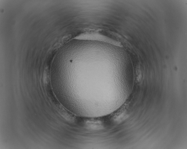 X0000077370515200611031914