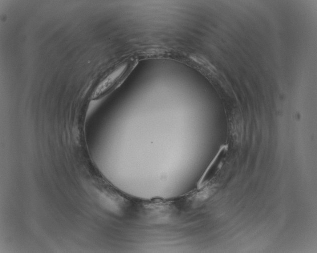 X0000077370516200611031914