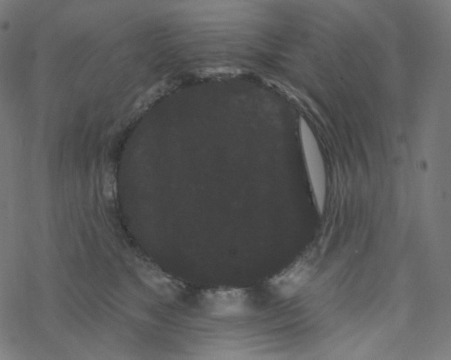 X0000077370517200611031914