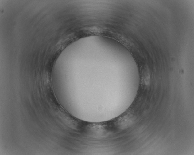 X0000077370518200611031914