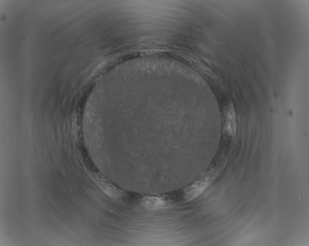 X0000077370519200611031914