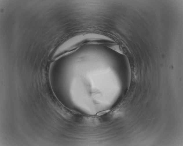 X0000077370520200611031914