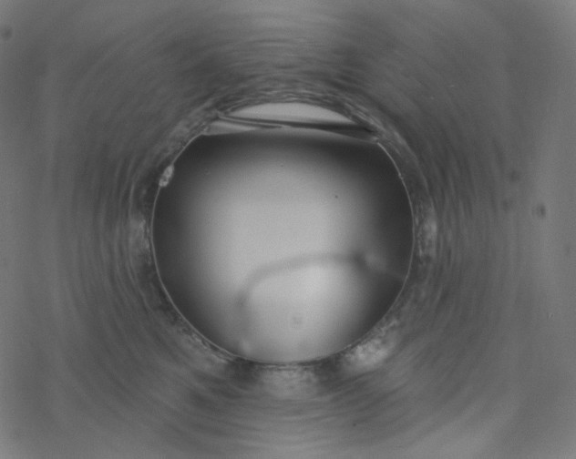 X0000077370521200611031914