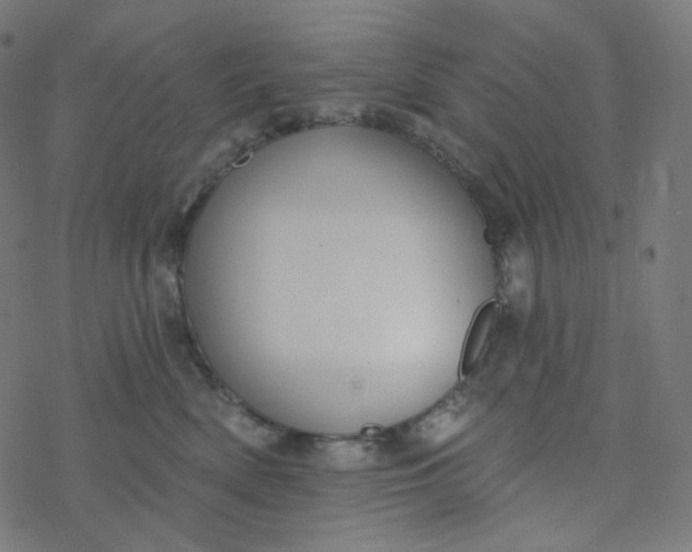 X0000077370522200611031914