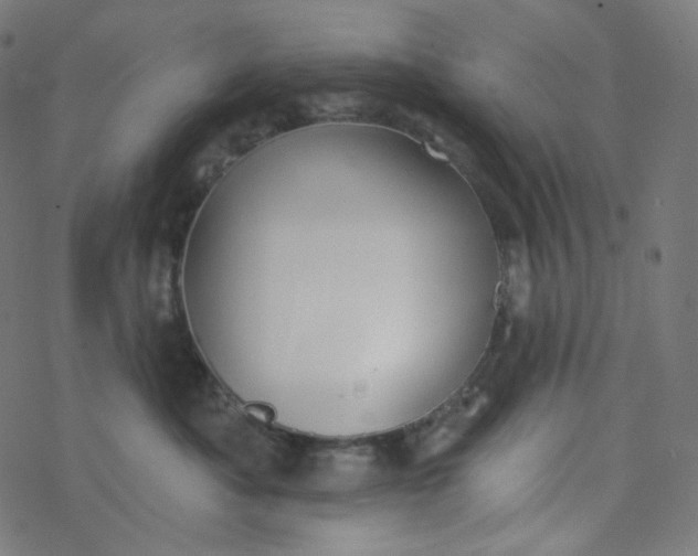 X0000077370525200611031914