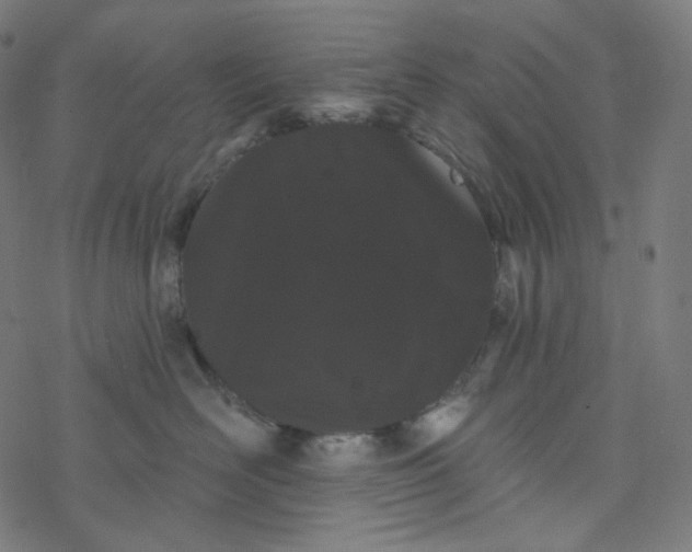 X0000077370526200611031914