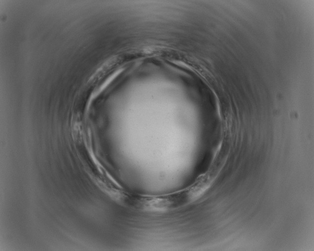 X0000077370527200611031914