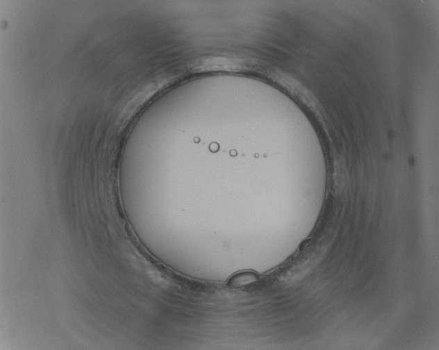 X0000077370529200611031913