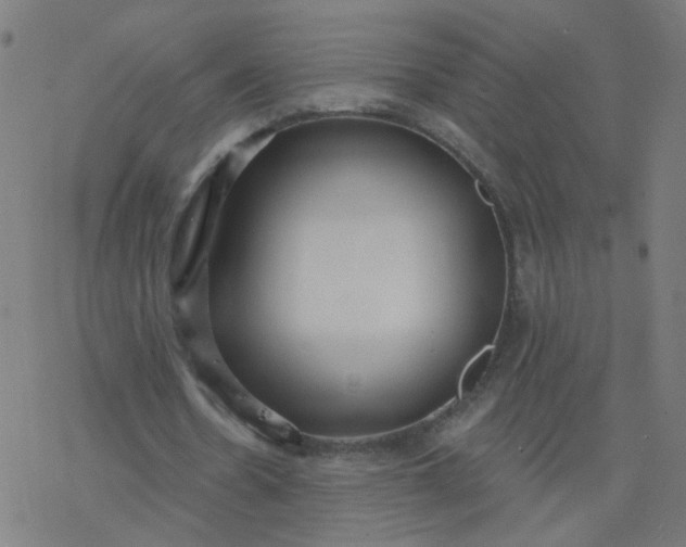 X0000077370530200611031913