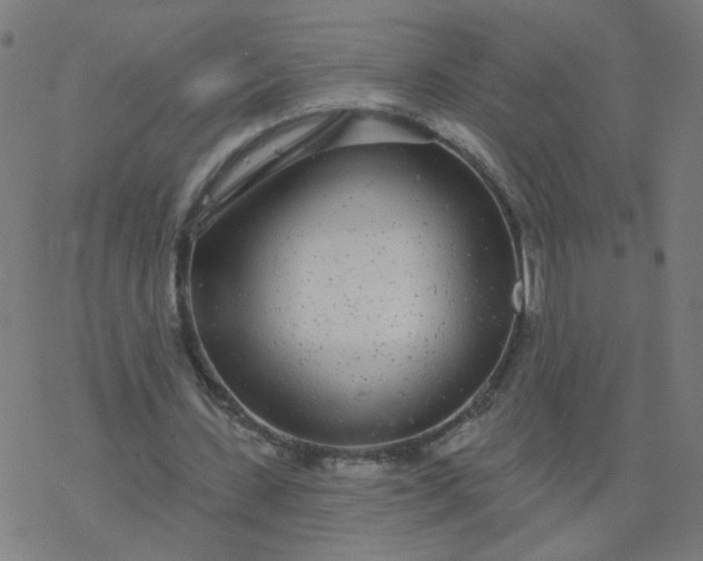 X0000077370531200611031913