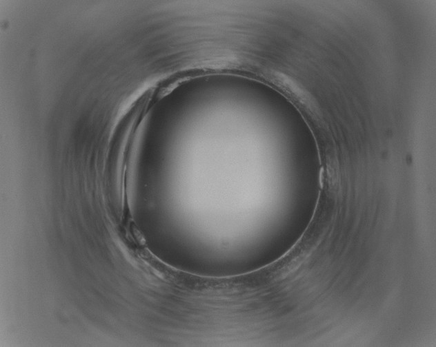 X0000077370532200611031913