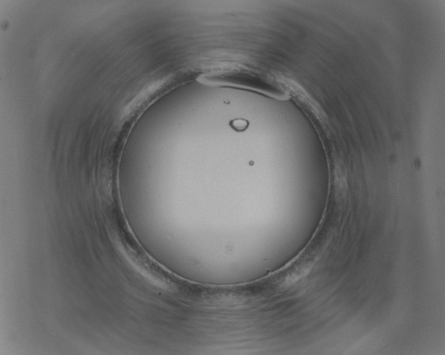 X0000077370533200611031913