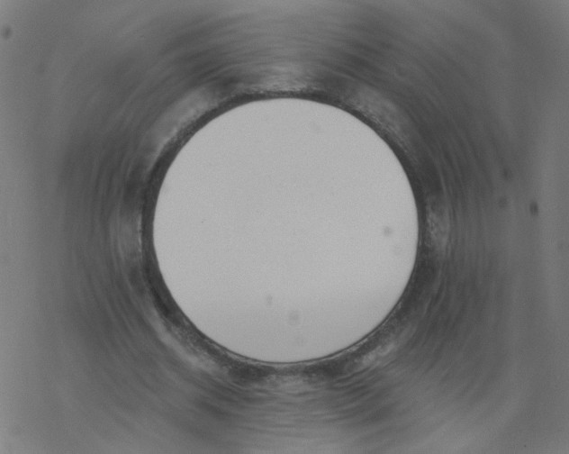 X0000077370534200611031913