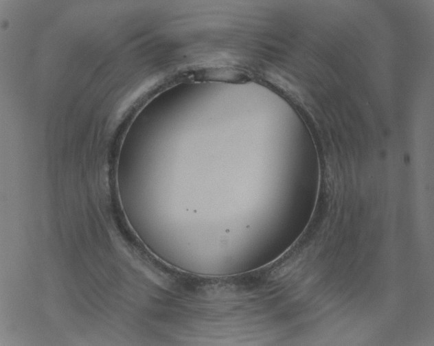 X0000077370535200611031913