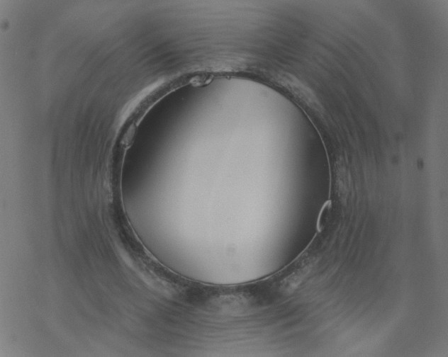 X0000077370536200611031914