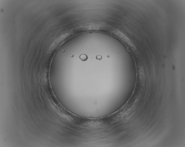 X0000077370537200611031914