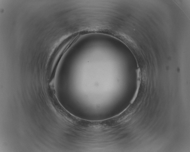 X0000077370540200611031914