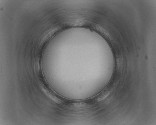 X0000077370541200611031914