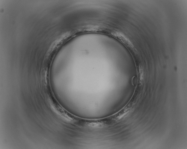 X0000077370542200611031914