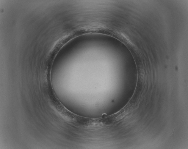 X0000077370543200611031914