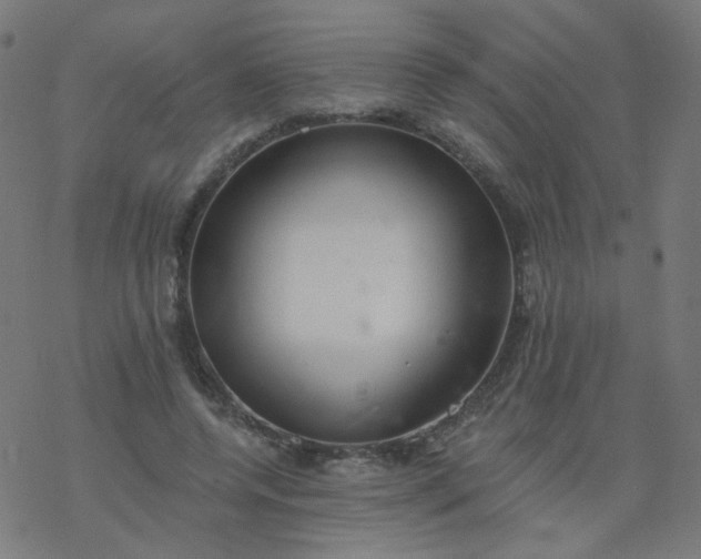 X0000077370544200611031914