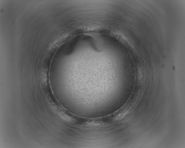 X0000077370545200611031914