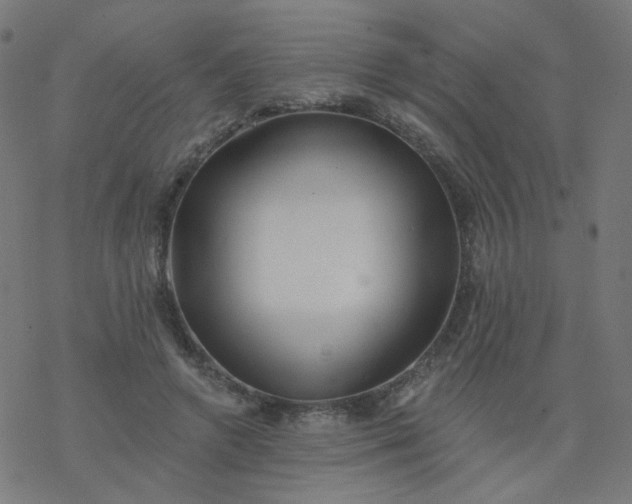 X0000077370546200611031914