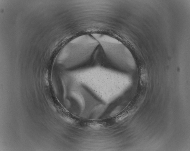 X0000077370547200611031914