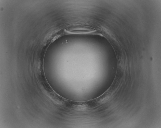 X0000077370548200611031914