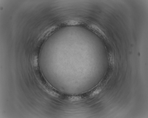 X0000077370549200611031914