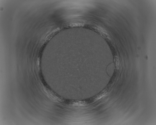 X0000077370550200611031914